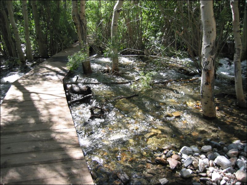 2005-08-21 Convict Lake (05) Snowmelt stream in the forest